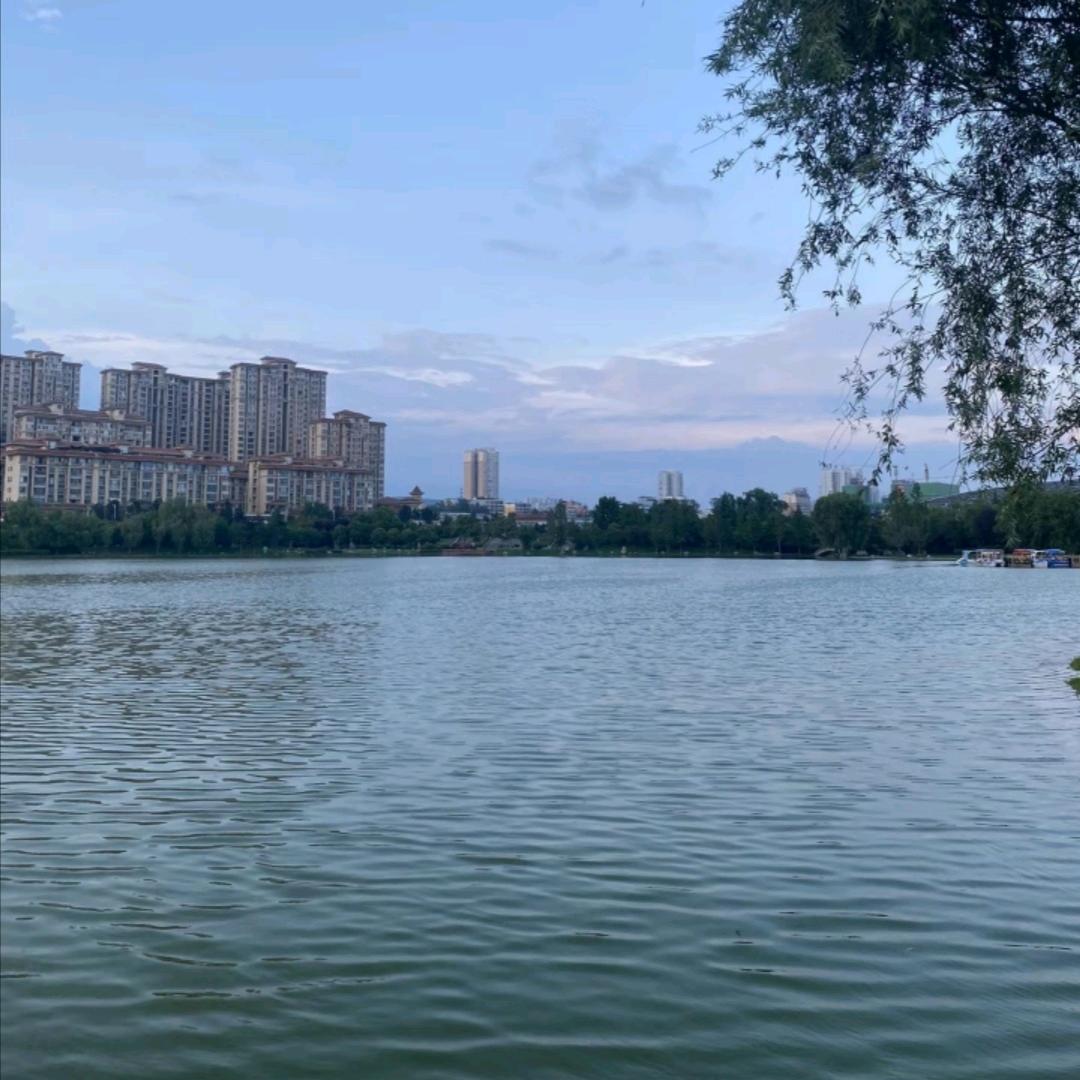 往后余生、