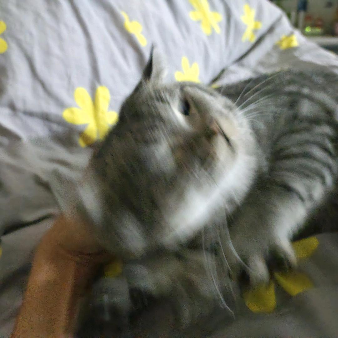 阿涵