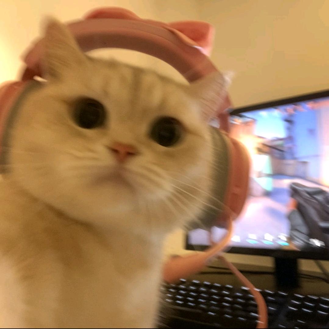 好运连连🤩🤩🤩