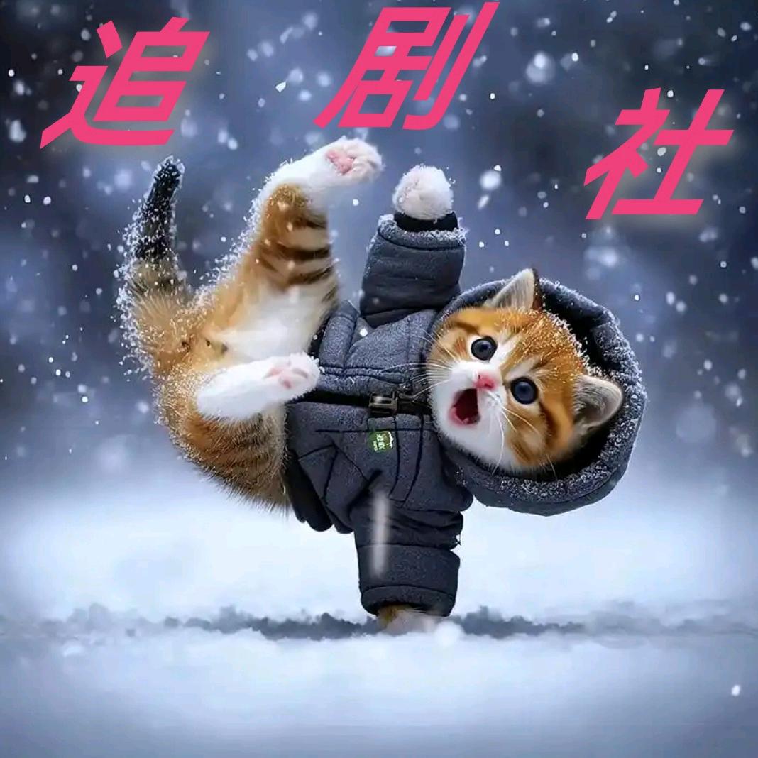 追剧社（橱窗有好物）