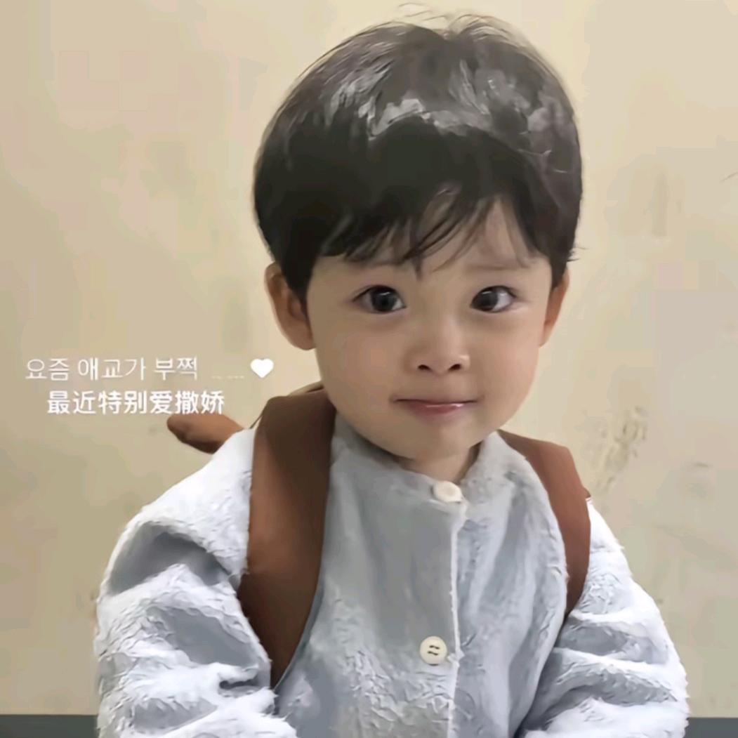 💤睡个好觉🐾