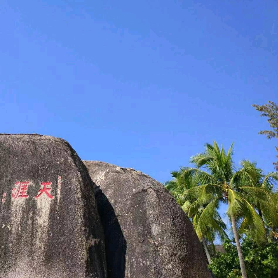 为你停刘