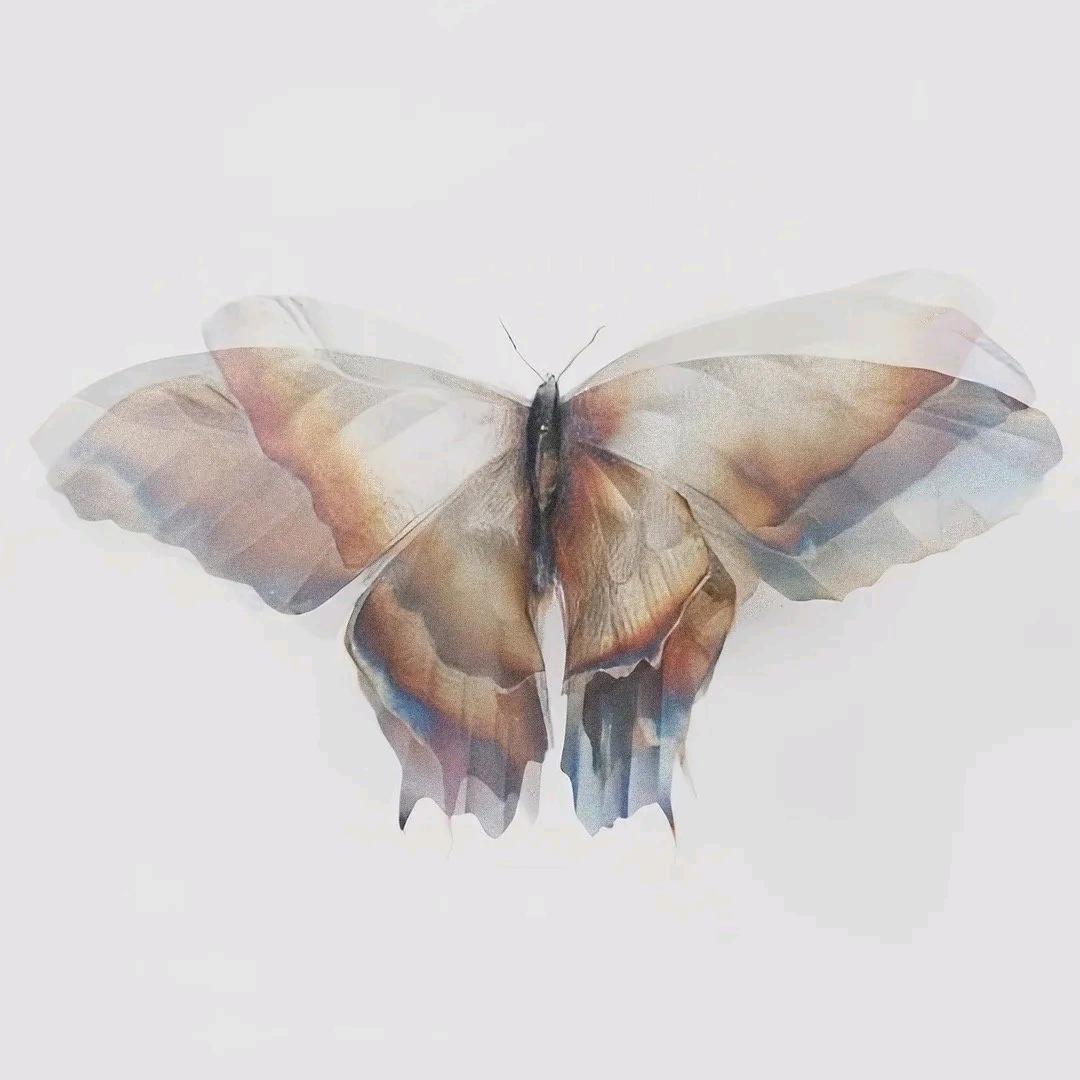 艾野（虔诚版）