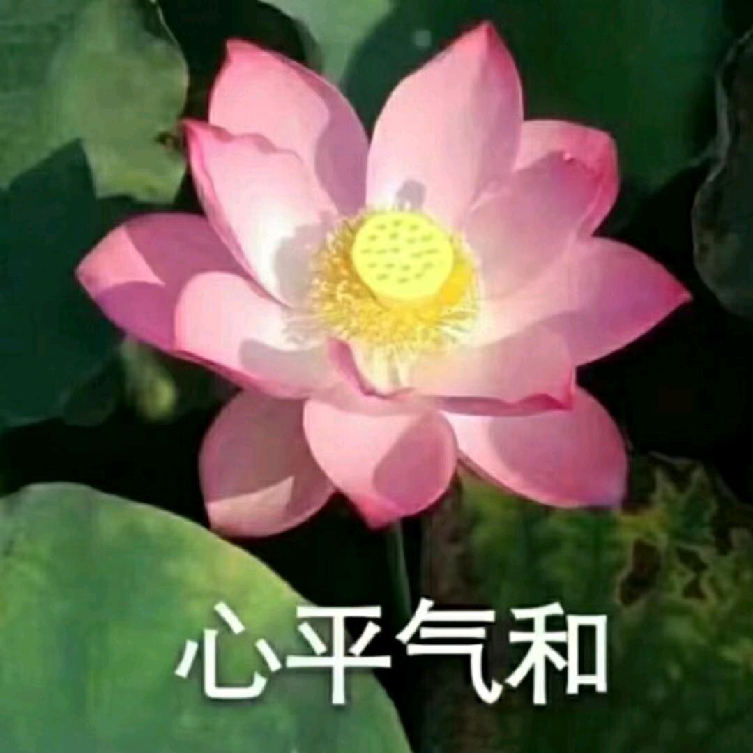 相知相惜