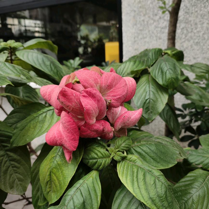 幸福美好
