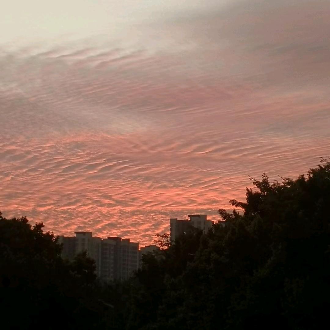 叫我明哥哥