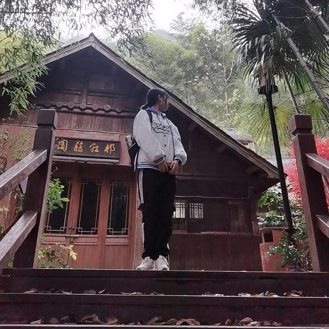 小月月儿