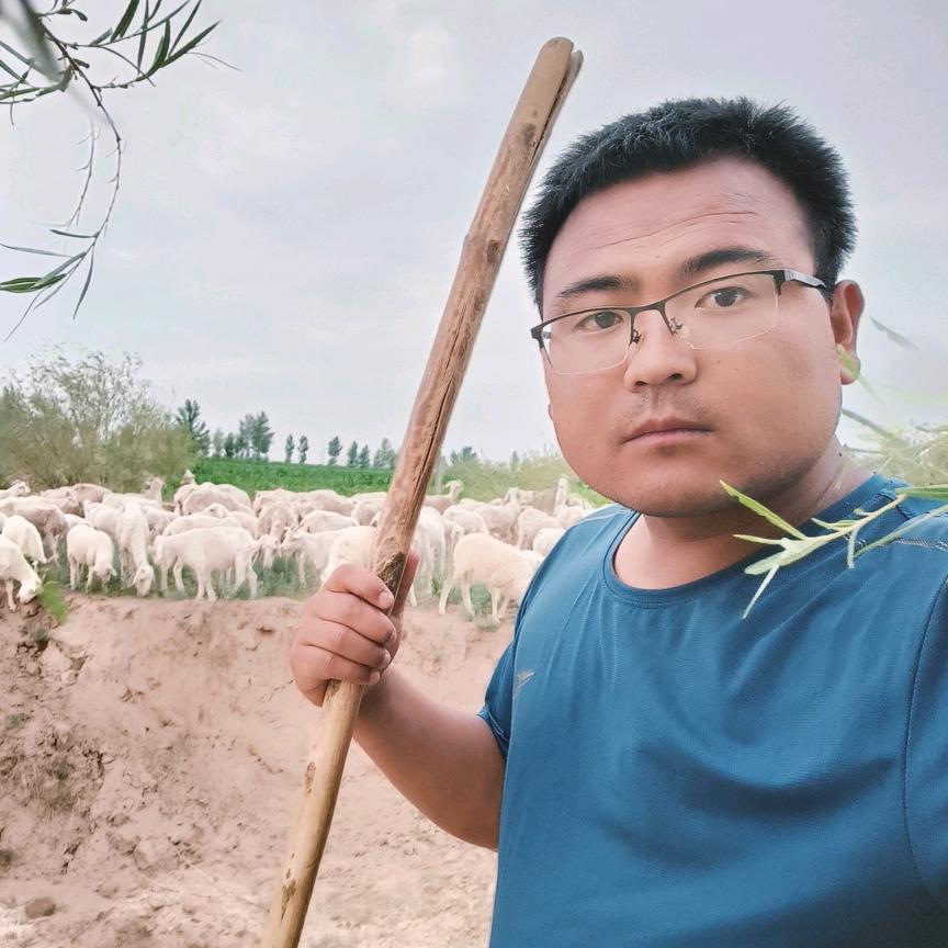 陕北后生在美国