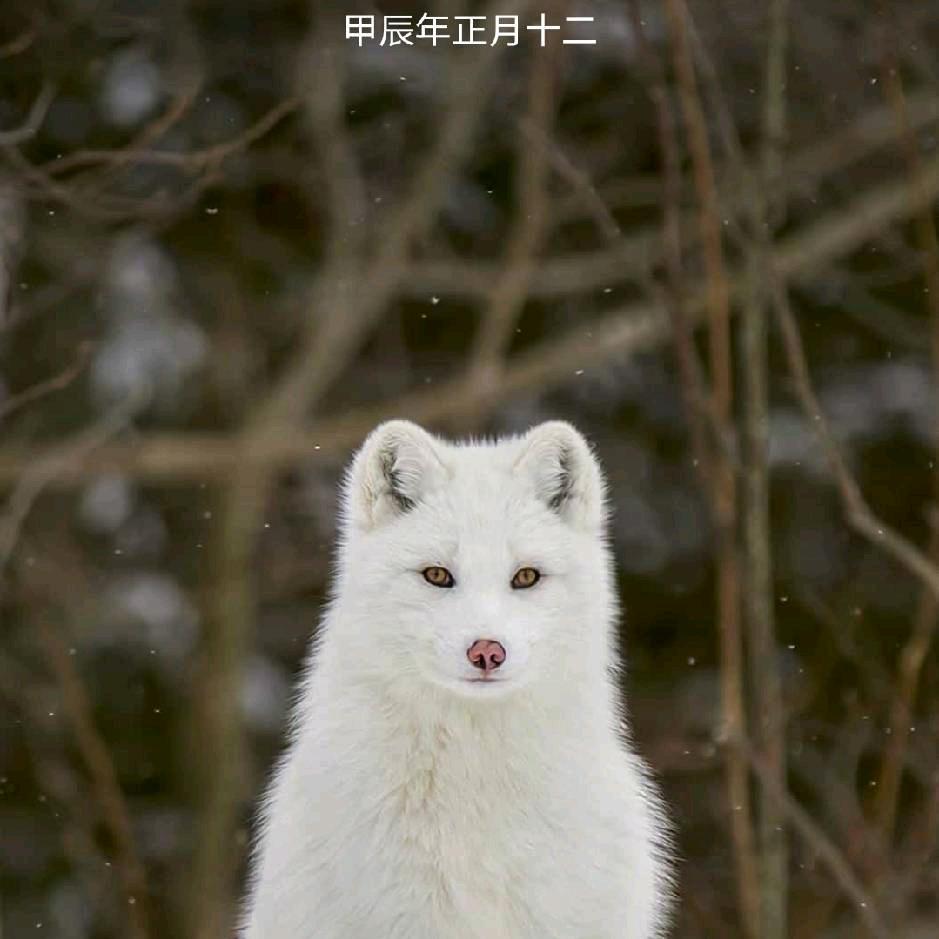 回头已无路可走@