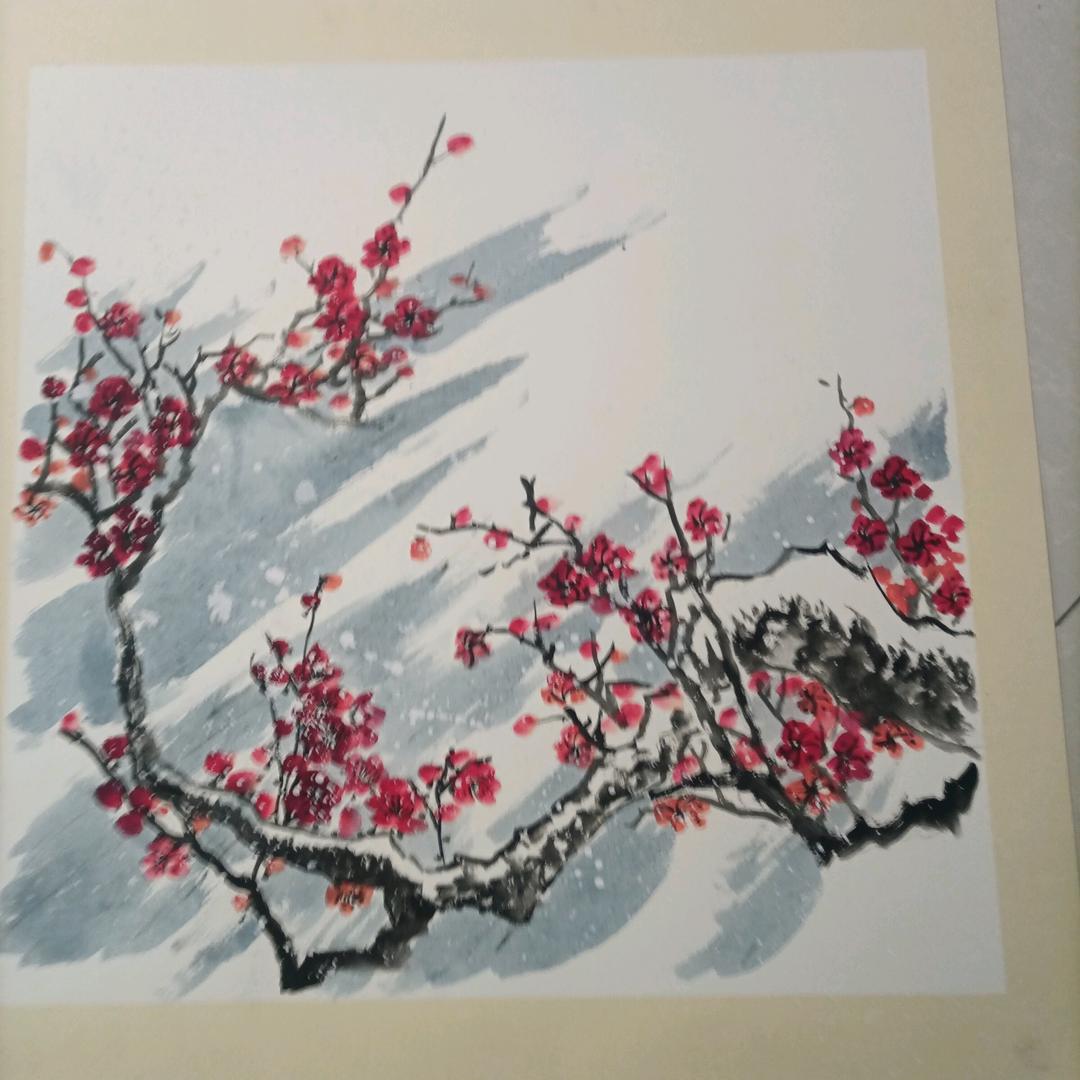 老紀
