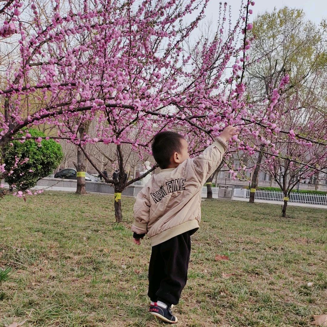 锦绣未央