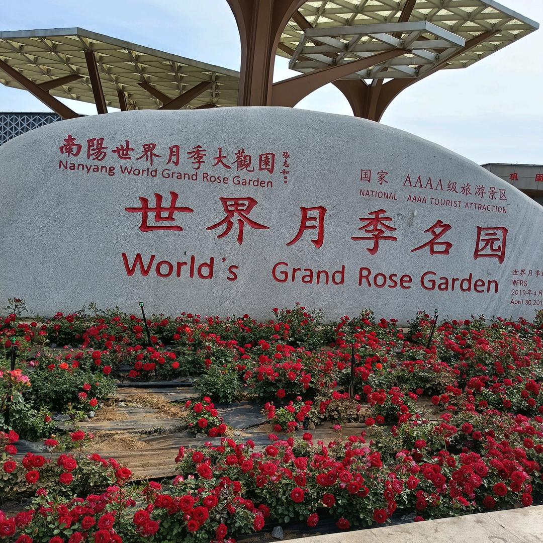 美好时光（用户小妹）