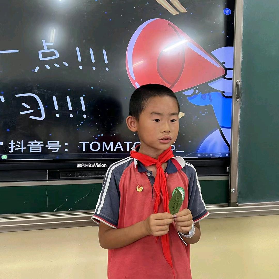 苏英焕