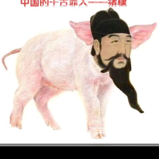 裹脚布病毒研究员