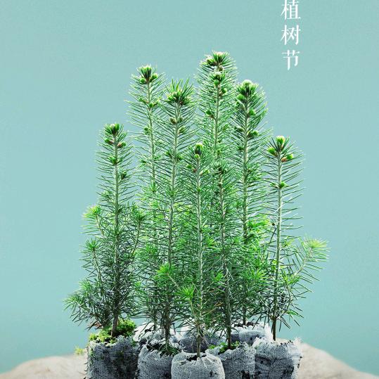 遇酒相伴