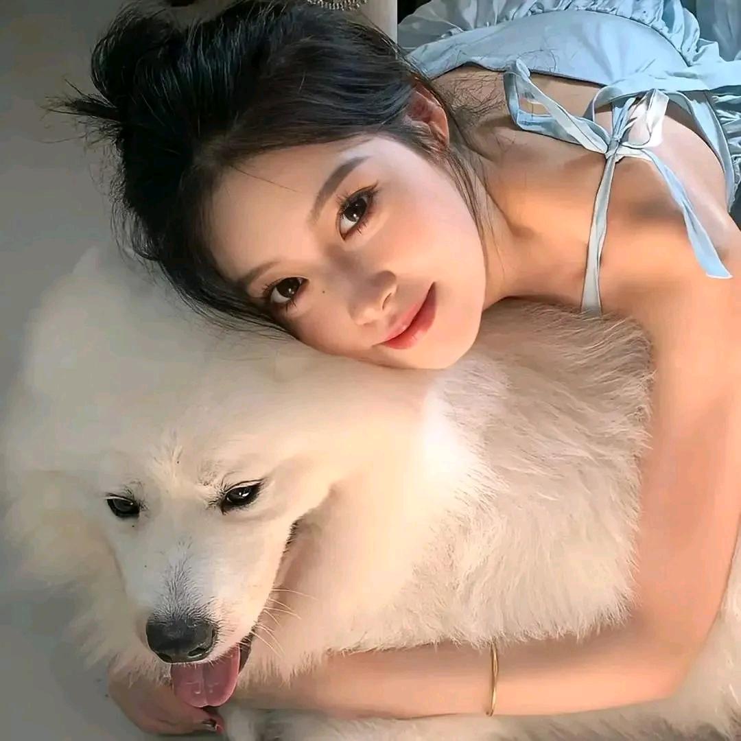 小饭团（努力版）