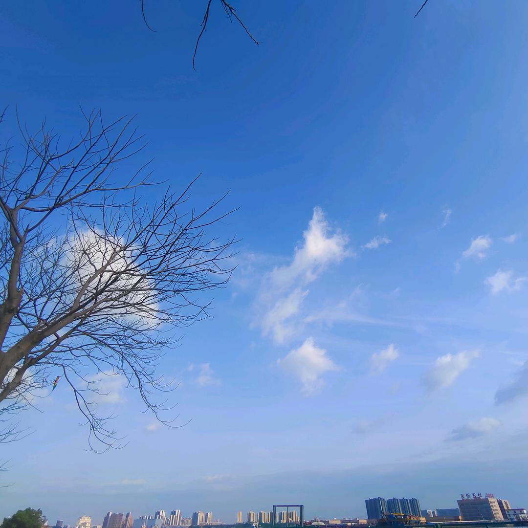 王三大