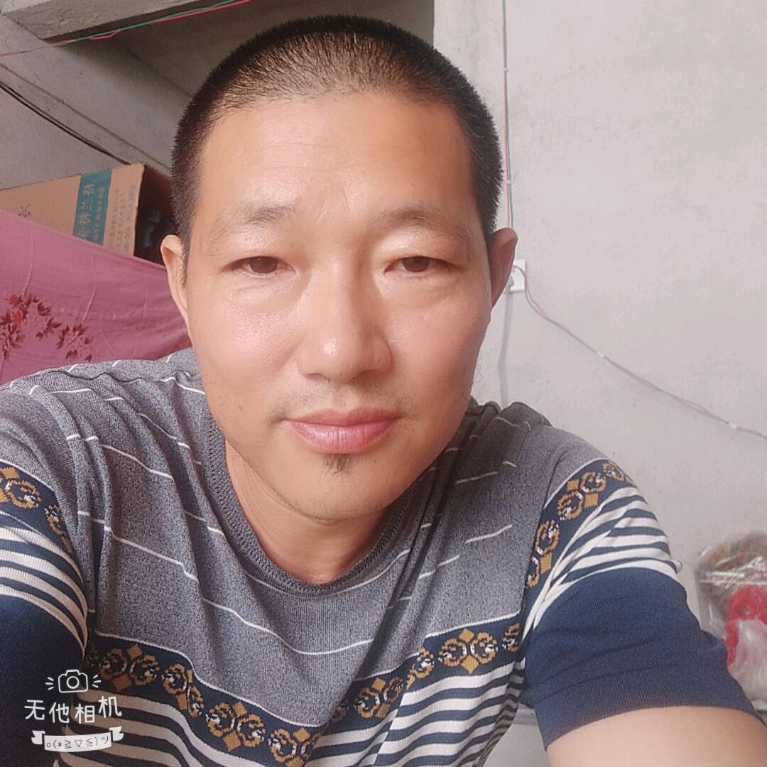 王杨补牢