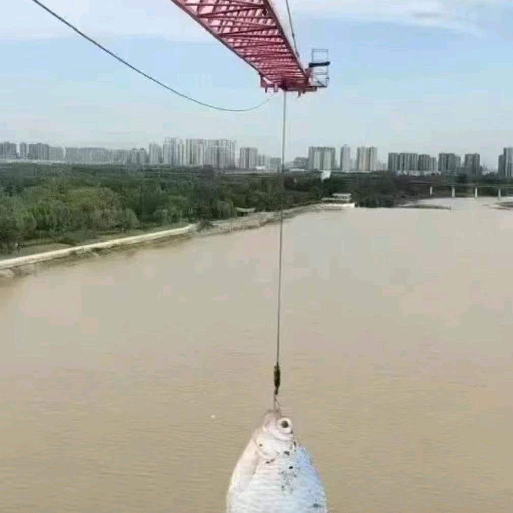 许（徐）你余生 永远幸福