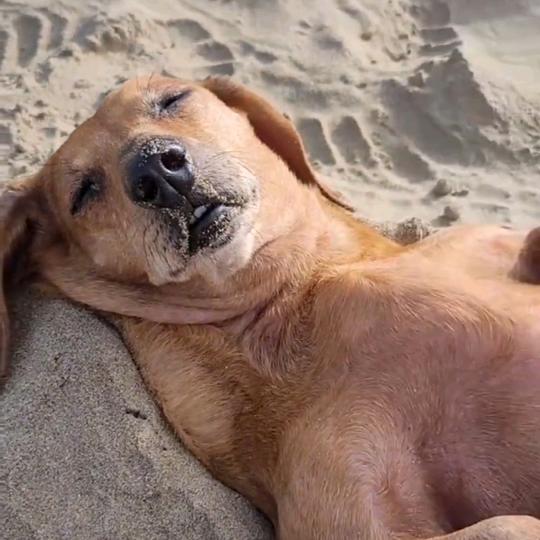 得闲炒米粉吃点