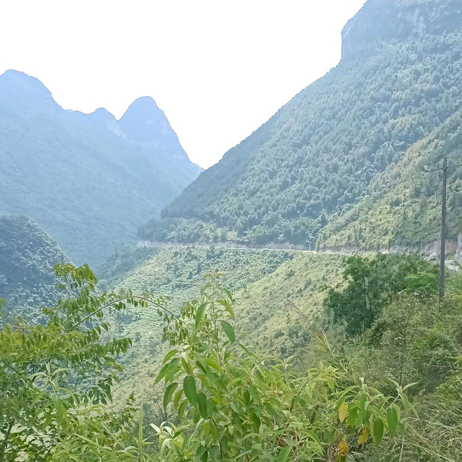 跳过……