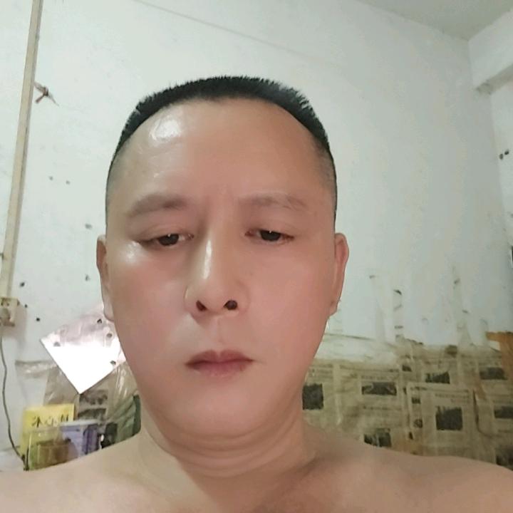 老杨