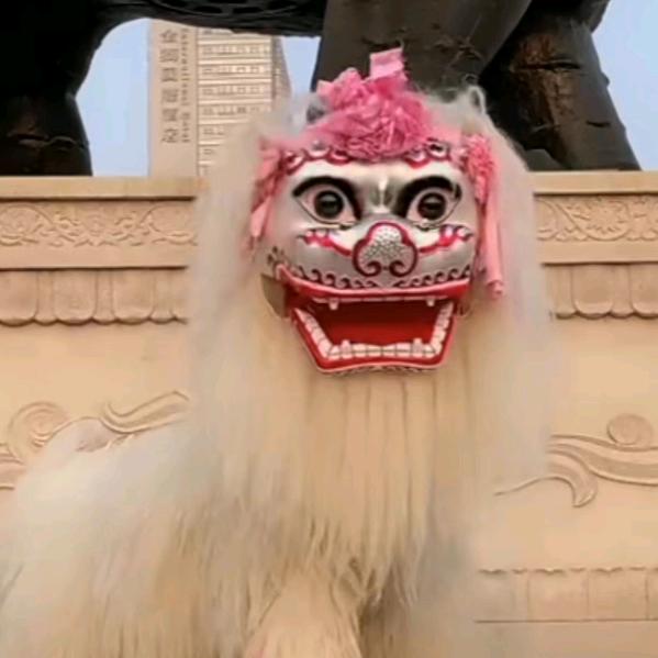 濮阳小白狮（团长）
