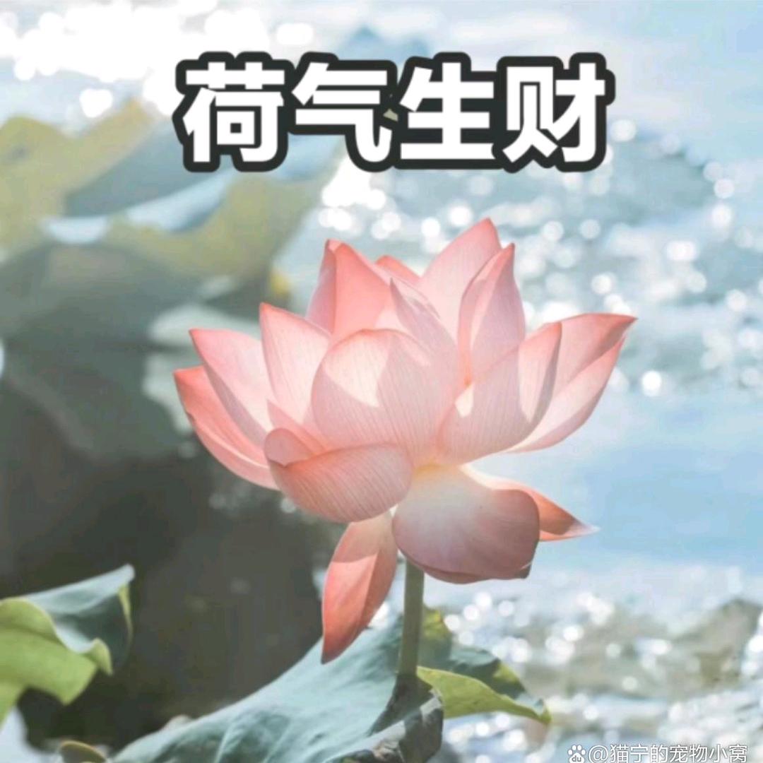 ꕥ᭄࿚余盛ᮁ⃨都⃨🖤是໊你℘࿐๊
