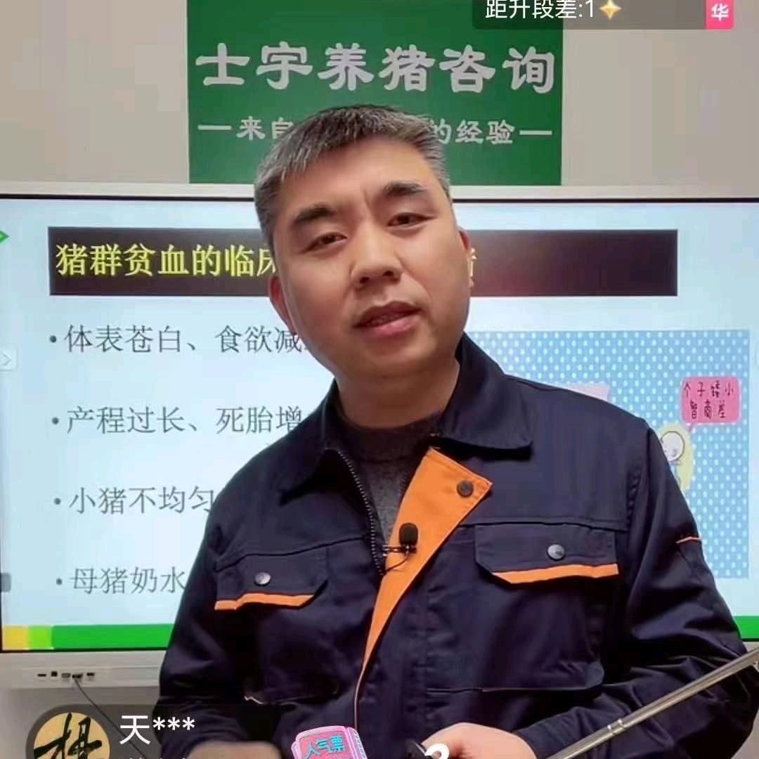 士宇养猪技术【助理小芳】