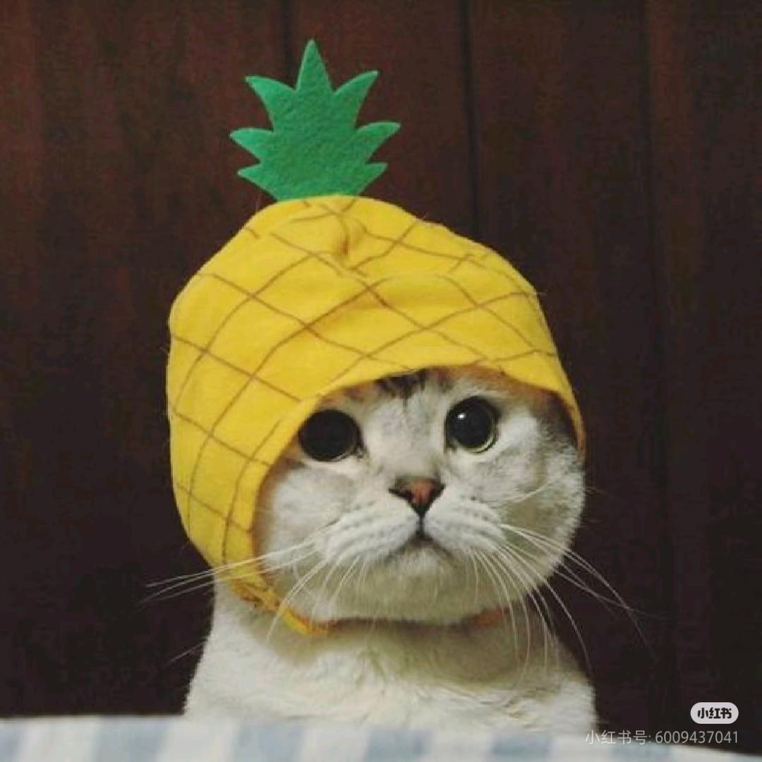 菠萝头