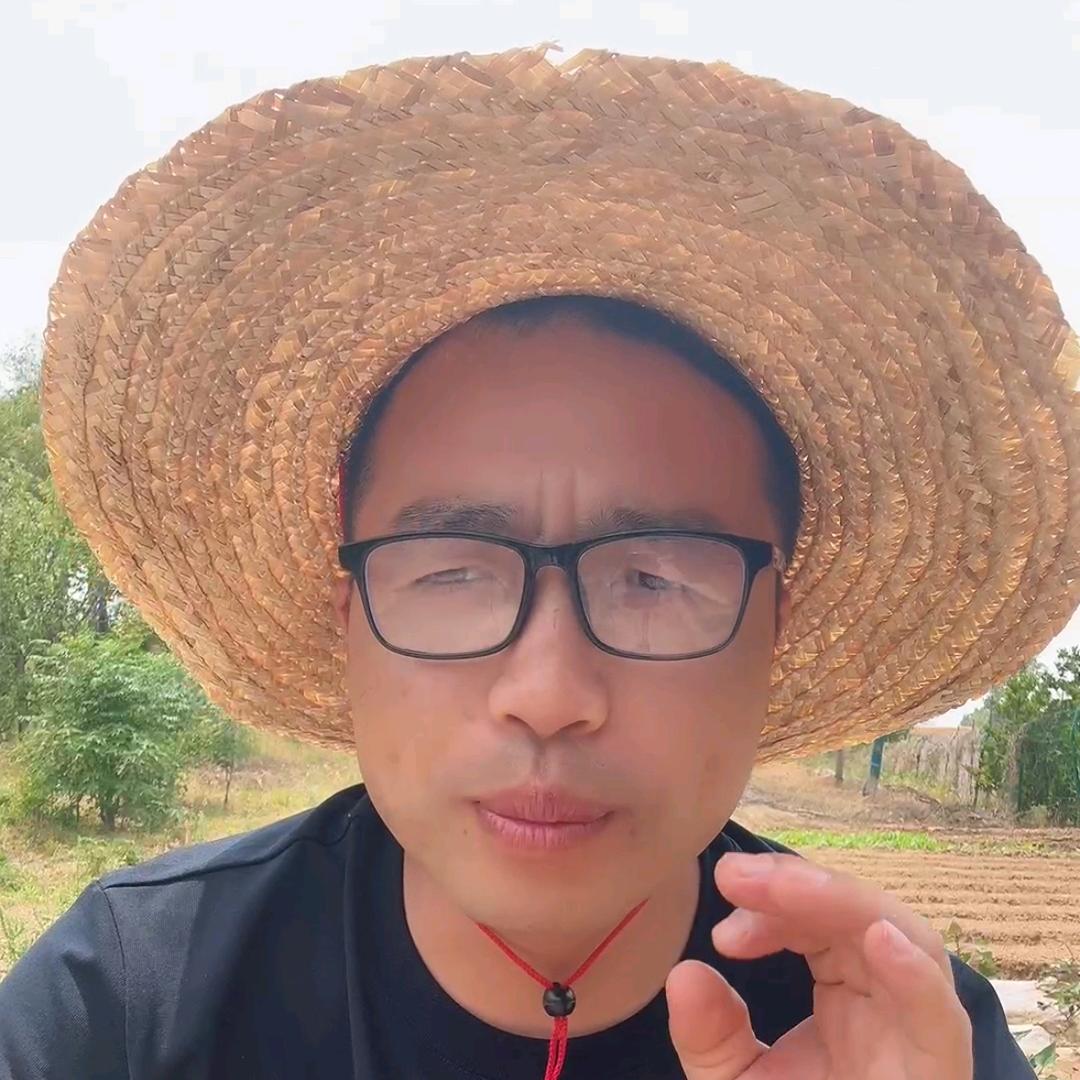 小刘聊农业