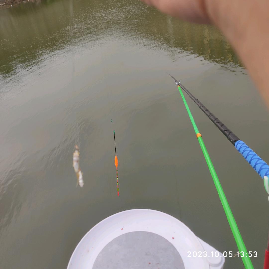 Pk~钓鱼佬🎣（试钓员）