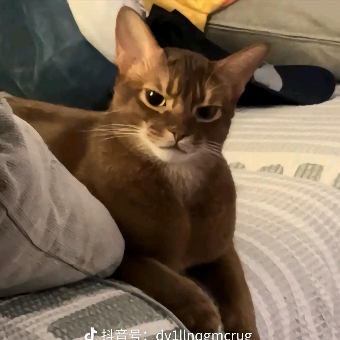 许洪恺呜