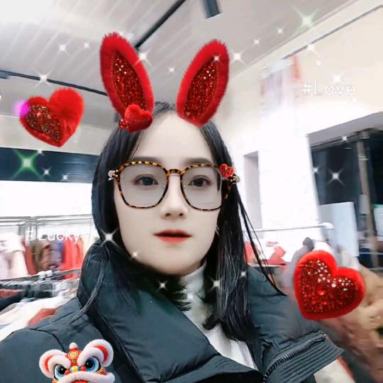 桂东一芝麻e柜燕子