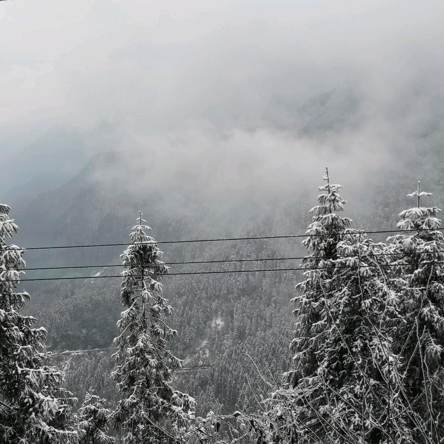 ℳঞᩚ杨帆🔥☜ ☞🌈启航