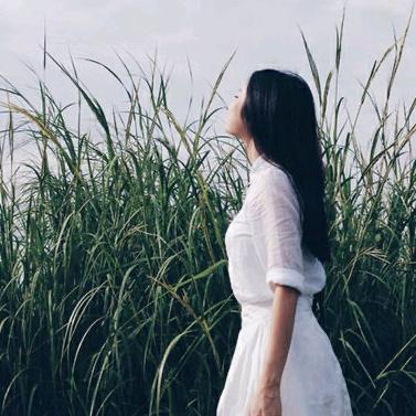 小西短剧