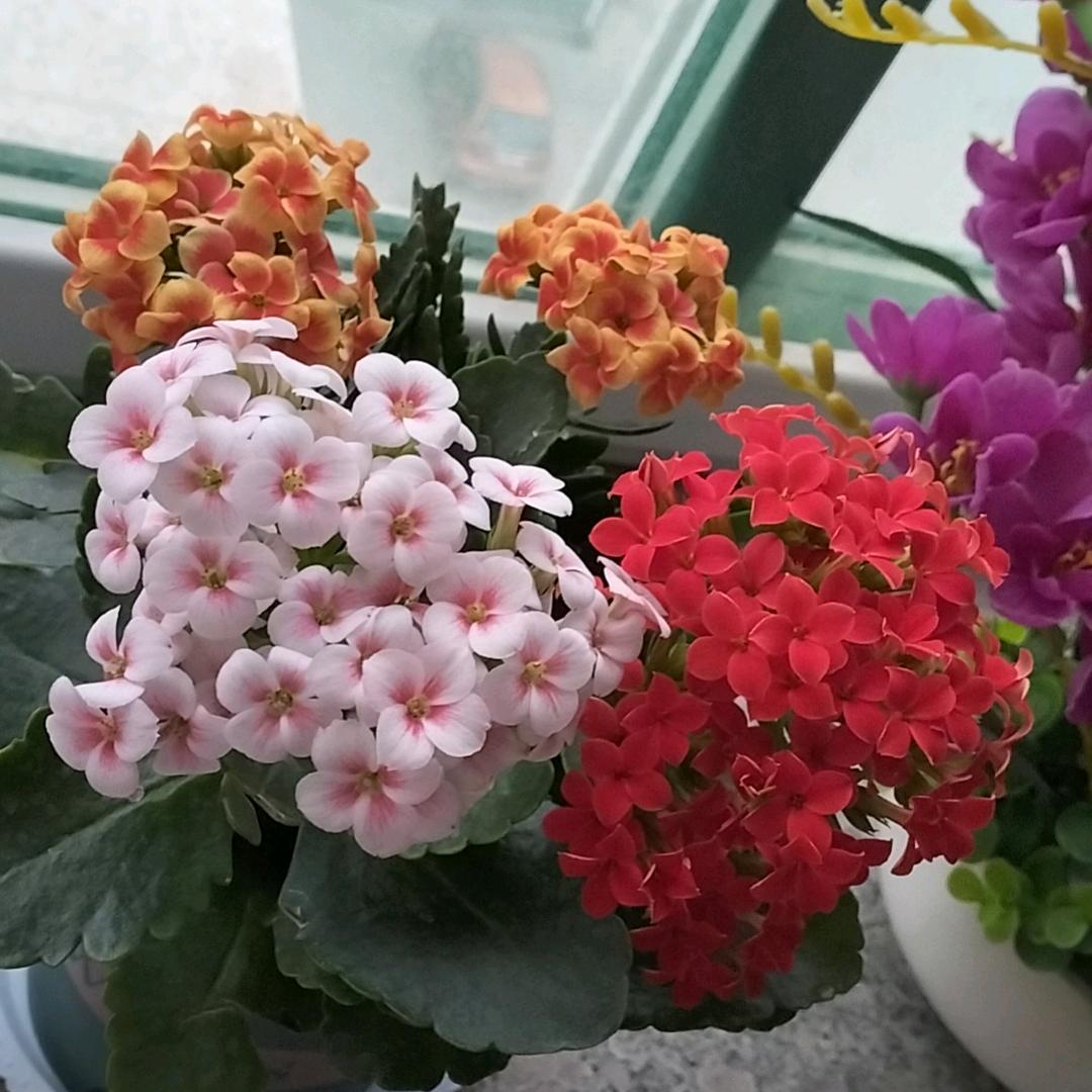 晴天