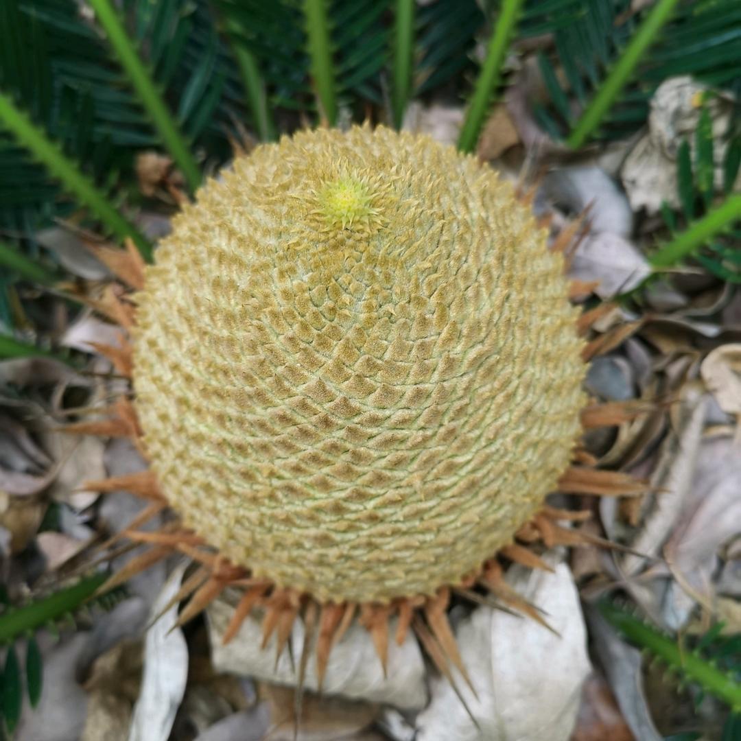把酒换清晰