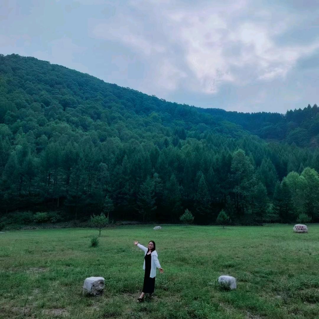 🌻沁源小杨鲜花🌹绿植批发🌻