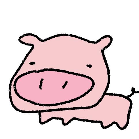 冰冰的雙板导弹