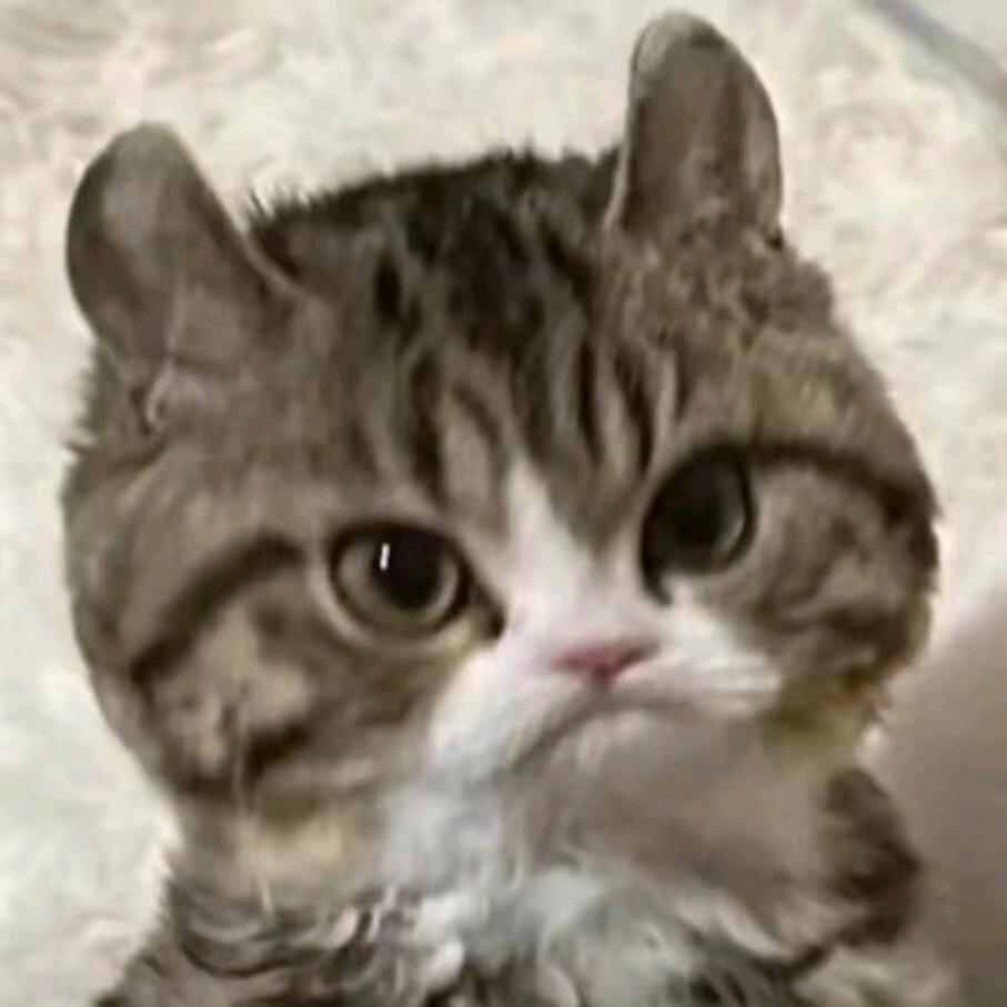 我与梨花共白头