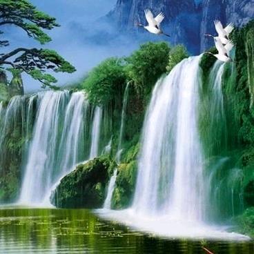 高哥@烟花爆竹总经销商