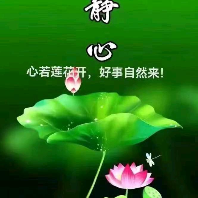 💞ꦿ᭄ღ不᭄念ꦿ过ཽ࿆往᭄ꦿ💞