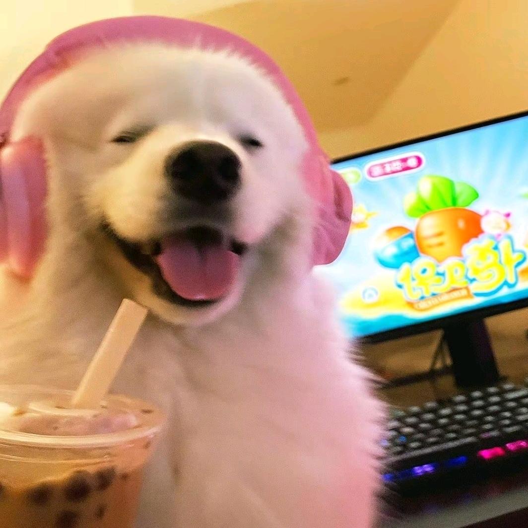 泡芙是只耶耶✌🏻