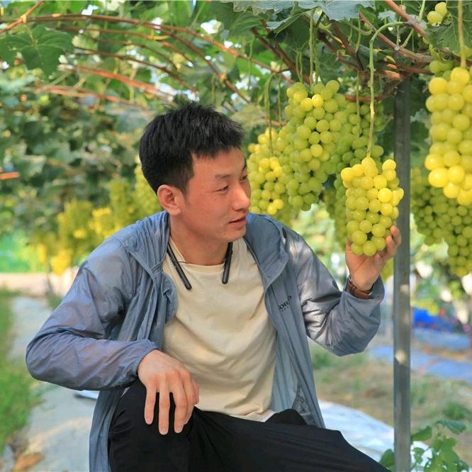 农科园艺（晓锋）