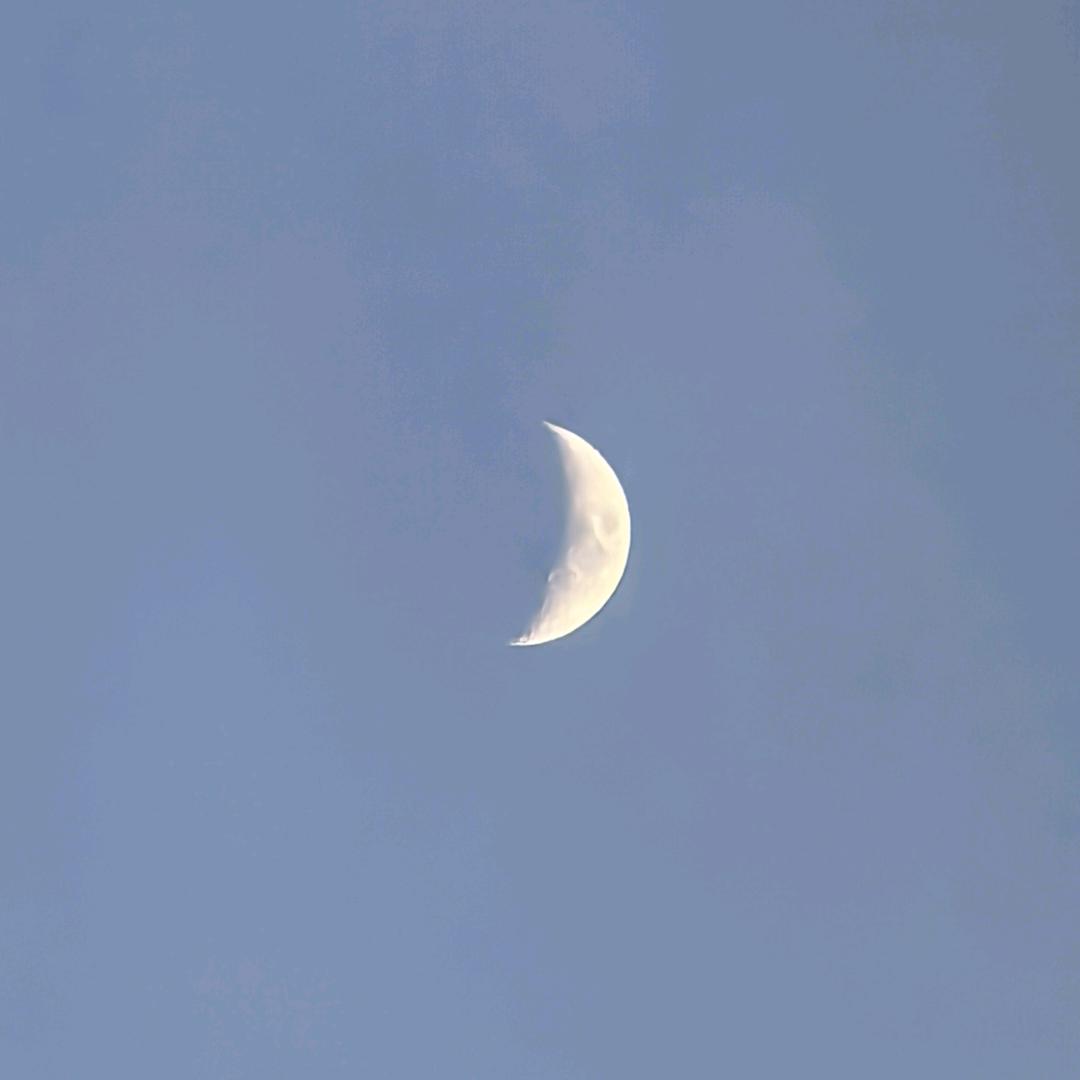 爱月儿