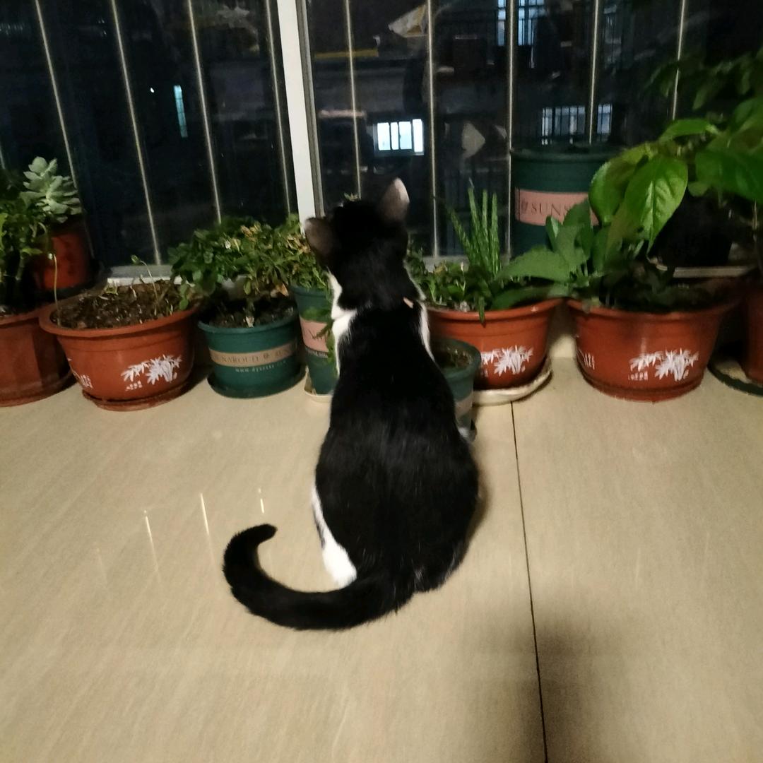 对别人好也是对自己好