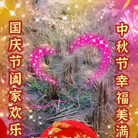 王孃孃（熟饲料养猪户）