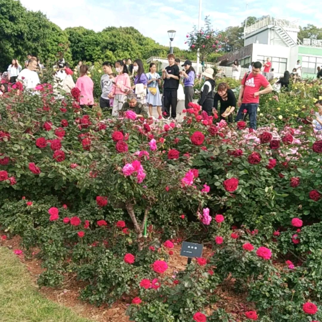 梦里啥都有👠👠