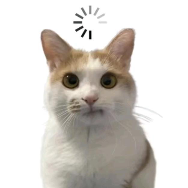 不吃披萨